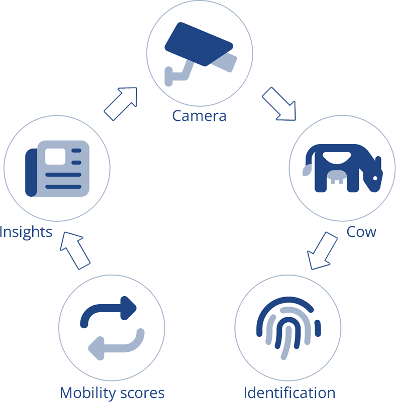 Image and video analysis example
